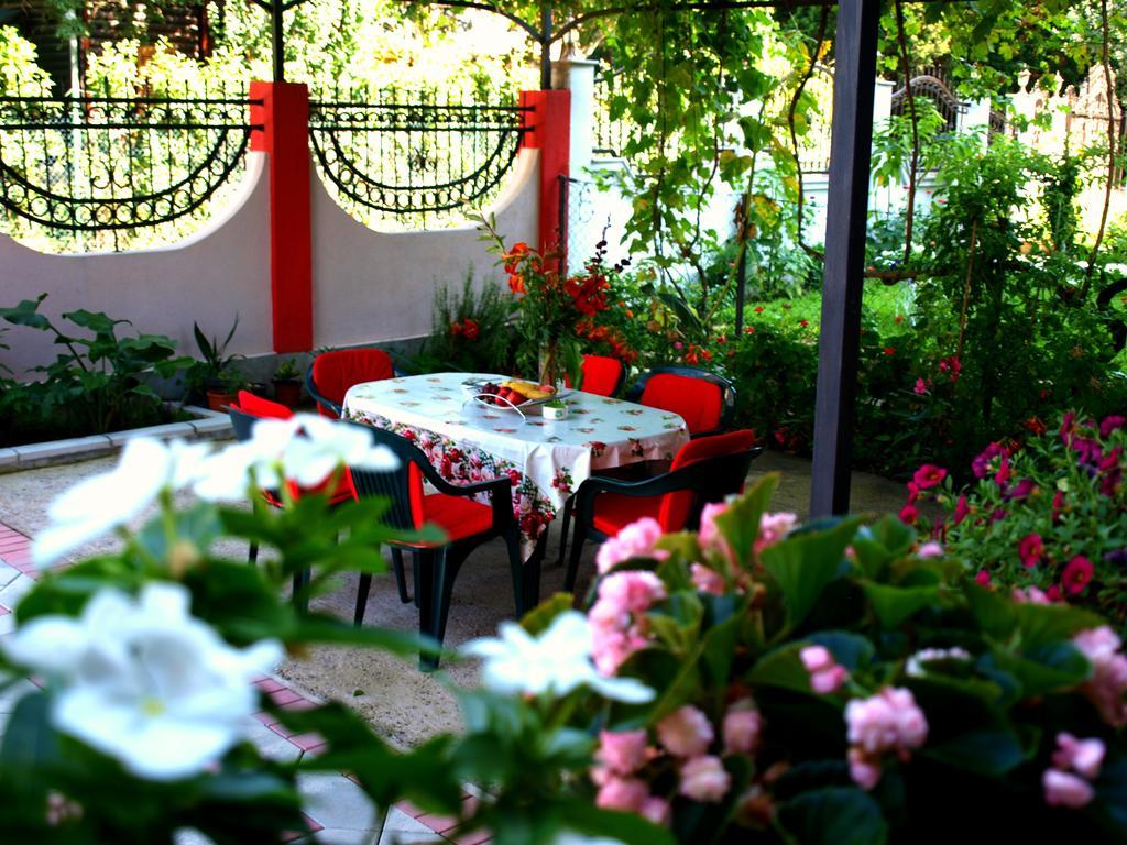 Friendly House Διαμέρισμα Ούλτσιν Εξωτερικό φωτογραφία